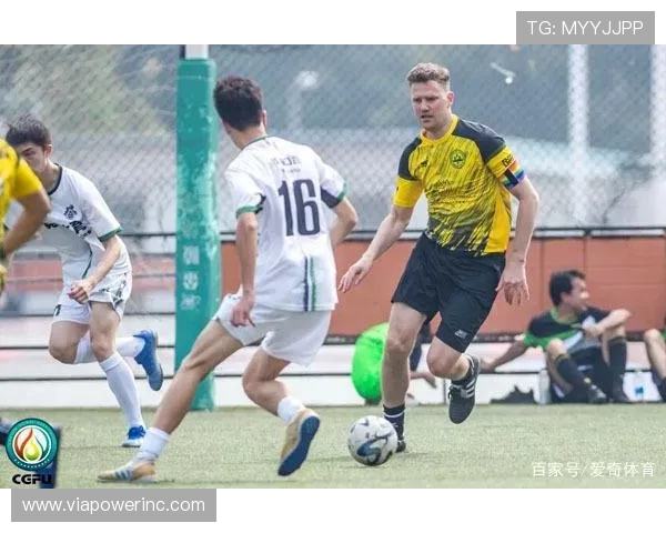 德朝体育全站登录指南详解让新手玩家轻松掌握登录流程与常见问题解决方案
